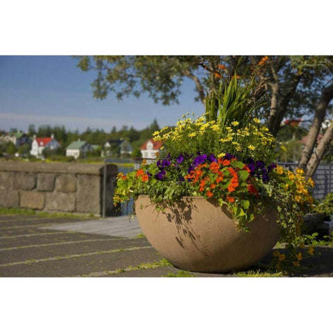 Iceland, Reykjavik A large flower-filled vase Gold Ornate Wood Framed Art Print with Double Matting by Grall, Don