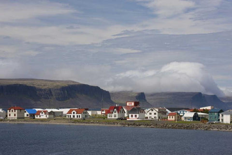 Iceland, Patreksfjordur Small town Black Ornate Wood Framed Art Print with Double Matting by Grall, Don