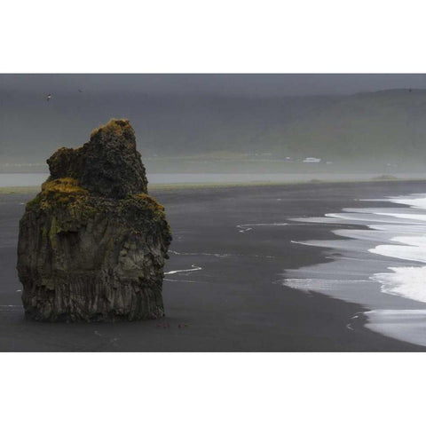 Iceland, Vik black sand beach on rainy day Gold Ornate Wood Framed Art Print with Double Matting by Young, Bill