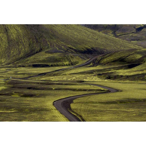 Iceland Road curves through green countryside Gold Ornate Wood Framed Art Print with Double Matting by Young, Bill