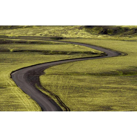 Iceland Road curves through green countryside Black Modern Wood Framed Art Print with Double Matting by Young, Bill