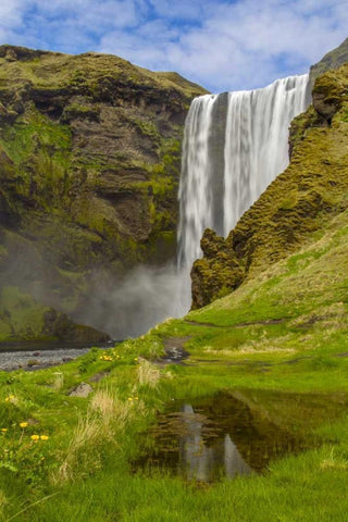 Iceland, Skogafoss Waterfall reflects in pool Black Ornate Wood Framed Art Print with Double Matting by Illg, Cathy and Gordon