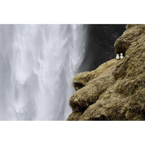 Iceland Close-up of Skogafoss waterfall Gold Ornate Wood Framed Art Print with Double Matting by Young, Bill