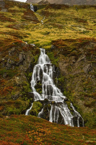 Iceland, Snaefellsnes Small waterfall and Autumn White Modern Wood Framed Art Print with Double Matting by Kirkland, Dennis