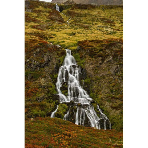 Iceland, Snaefellsnes Small waterfall and Autumn Black Modern Wood Framed Art Print by Kirkland, Dennis