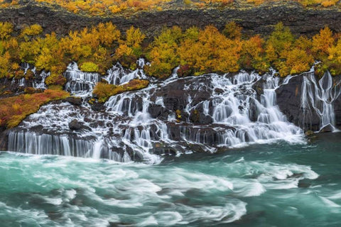 Iceland, Hraunfossar Autumn waterfalls Black Ornate Wood Framed Art Print with Double Matting by Kirkland, Dennis