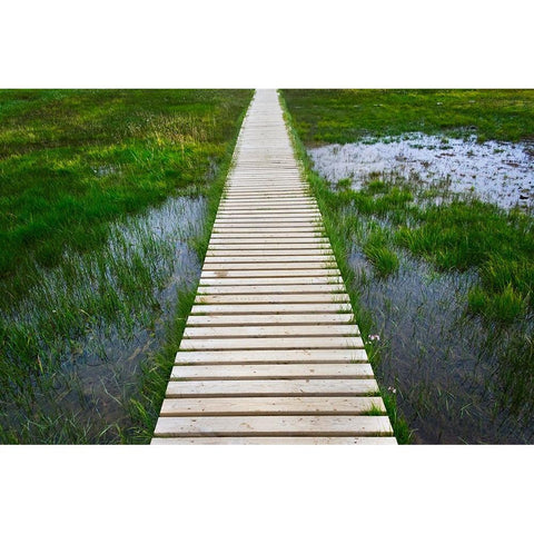 A plank pathway in Landmannalaugar-Iceland White Modern Wood Framed Art Print by Su, Keren