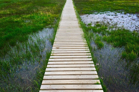 A plank pathway in Landmannalaugar-Iceland Black Ornate Wood Framed Art Print with Double Matting by Su, Keren