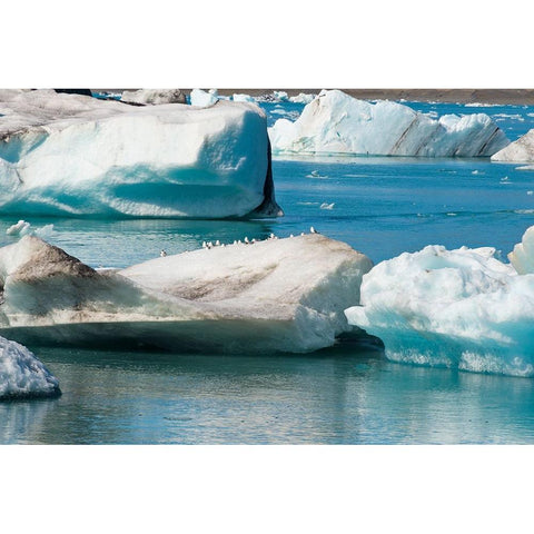 Icebergs in Jokulsarlon Glacial Lagoon-Iceland Black Modern Wood Framed Art Print by Su, Keren