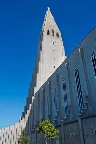 Hallgrimskirkja church-Reykjavik-Iceland Black Ornate Wood Framed Art Print with Double Matting by Su, Keren