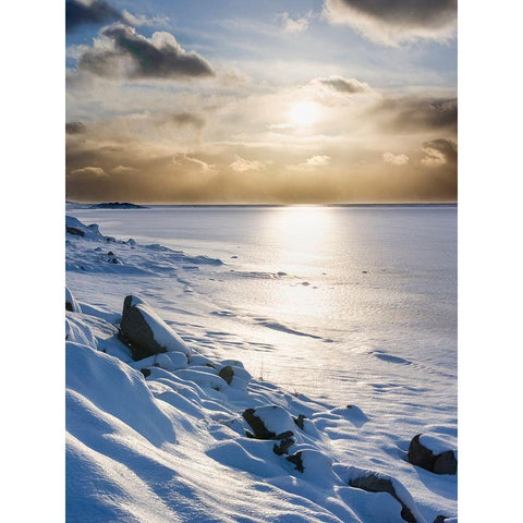 Landscape in the eastern fjords of Iceland between Hofn and Djupivogur Iceland Black Modern Wood Framed Art Print by Zwick, Martin