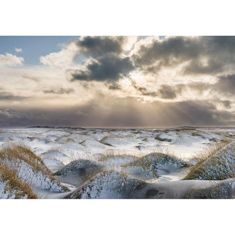 Coastal landscape with dunes at iconic Stokksnes during winter and stormy conditions Iceland Black Modern Wood Framed Art Print with Double Matting by Zwick, Martin