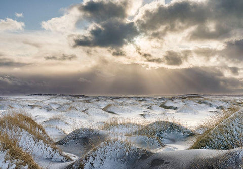 Coastal landscape with dunes at iconic Stokksnes during winter and stormy conditions Iceland Black Ornate Wood Framed Art Print with Double Matting by Zwick, Martin