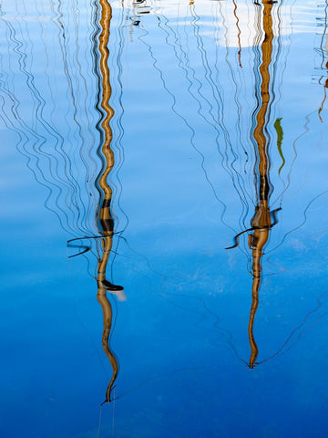 The Harbor. Town Husavik- a whale watching center in northern Iceland. Europe- Iceland Black Ornate Wood Framed Art Print with Double Matting by Zwick, Martin