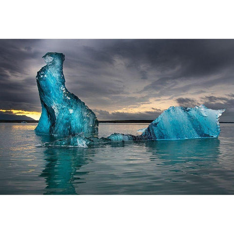 Icebergs float at will in Jokulsarlon lagoon-Iceland-headed for the north Atlantic Gold Ornate Wood Framed Art Print with Double Matting by Steve Mohlenkamp