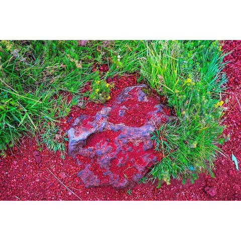 Red Volcanic Stone green Grass Kerio Volcano Crater blue Lake Golden Falls Golden Circle Gold Ornate Wood Framed Art Print with Double Matting by Perry, William