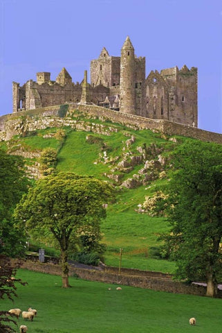 Ireland, Co Tipperary Rock of Cashel fortress Black Ornate Wood Framed Art Print with Double Matting by Flaherty, Dennis