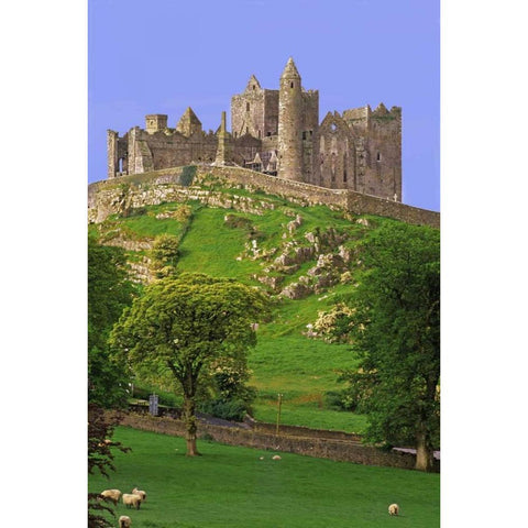 Ireland, Co Tipperary Rock of Cashel fortress White Modern Wood Framed Art Print by Flaherty, Dennis