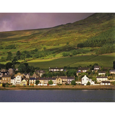 Ireland, Co Louth The town of Carlingford Black Modern Wood Framed Art Print by Flaherty, Dennis