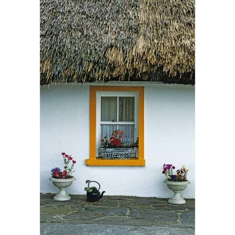 Ireland, Co Clare A thatch-roofed cottage Gold Ornate Wood Framed Art Print with Double Matting by Flaherty, Dennis