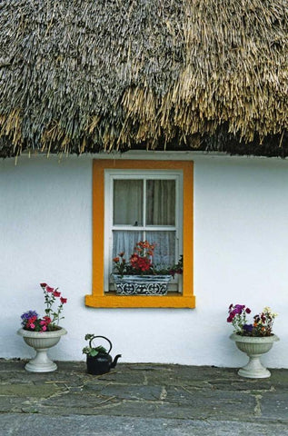 Ireland, Co Clare A thatch-roofed cottage White Modern Wood Framed Art Print with Double Matting by Flaherty, Dennis