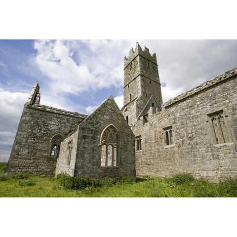 Ireland, Galway Monastery Ross Errilly Friary Black Modern Wood Framed Art Print by Kaveney, Wendy