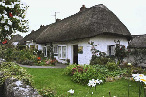 Ireland, Adare Cottage surrounded by a garden Black Ornate Wood Framed Art Print with Double Matting by Flaherty, Dennis