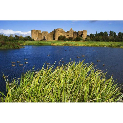 Ireland, Roscommon Ruins of Roscommon Castle Gold Ornate Wood Framed Art Print with Double Matting by Flaherty, Dennis