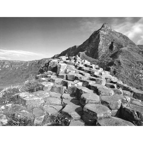 Northern Ireland Basalt at the Giants Causeway White Modern Wood Framed Art Print by Flaherty, Dennis