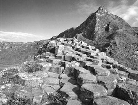 Northern Ireland Basalt at the Giants Causeway White Modern Wood Framed Art Print with Double Matting by Flaherty, Dennis