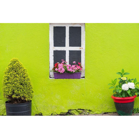 Europe-Ireland-Eyeries-Exterior of weathered house Black Modern Wood Framed Art Print by Jaynes Gallery