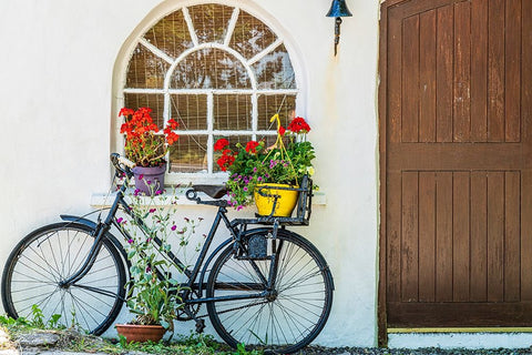 Europe-Ireland-County Cork-Bicycle next to house with potted plants White Modern Wood Framed Art Print with Double Matting by Jaynes Gallery