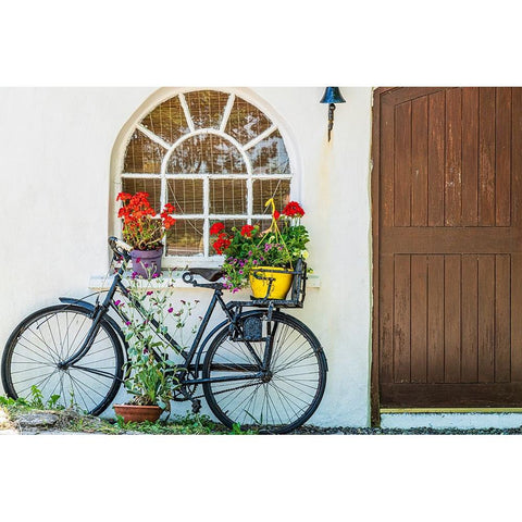 Europe-Ireland-County Cork-Bicycle next to house with potted plants Black Modern Wood Framed Art Print by Jaynes Gallery