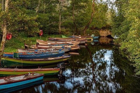 Old wooden boats in Killarney National Park-Ireland Black Ornate Wood Framed Art Print with Double Matting by Haney, Chuck