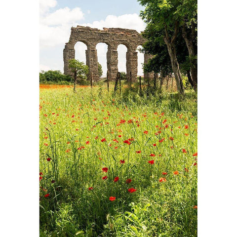 Italy-Rome Parc of the Aqueducts (Parco degli Acquedotti)-Acqua Claudio Black Modern Wood Framed Art Print with Double Matting by Jones, Alison