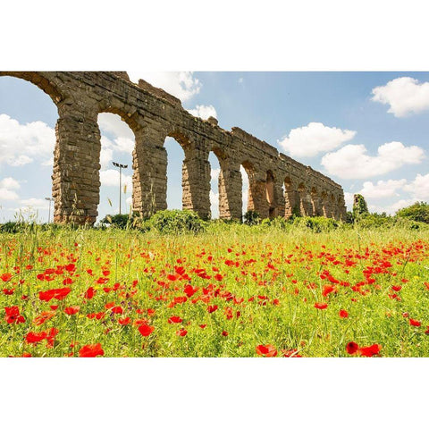 Italy-Rome Parc of the Aqueducts (Parco degli Acquedotti)-Acqua Claudio Black Modern Wood Framed Art Print with Double Matting by Jones, Alison