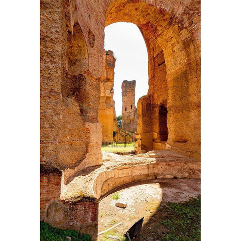 Italy-Rome Baths of Caracalla-where water supplied by new branch of Aqua Marcia  Gold Ornate Wood Framed Art Print with Double Matting by Jones, Alison
