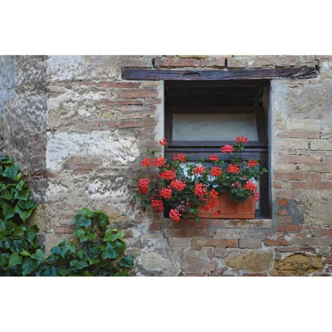 Italy, San Quirico dOrcia Flowers in a window Gold Ornate Wood Framed Art Print with Double Matting by Flaherty, Dennis
