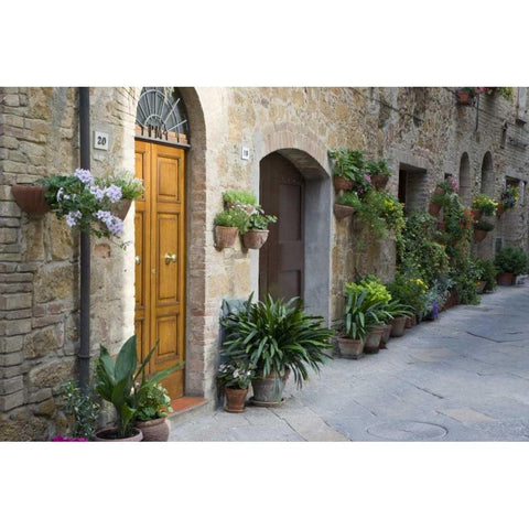 Italy, Pienza Potted plants line narrow streets Black Modern Wood Framed Art Print by Flaherty, Dennis
