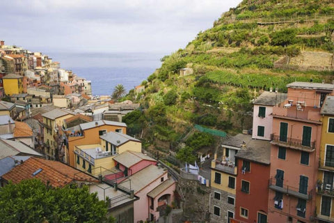 Hillside village of Manarola-Cinque Terre, Italy Black Ornate Wood Framed Art Print with Double Matting by Flaherty, Dennis