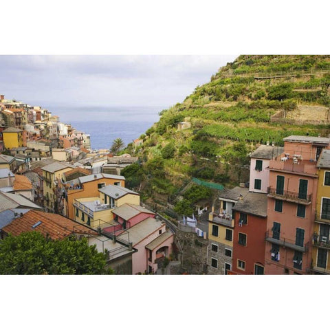 Hillside village of Manarola-Cinque Terre, Italy Black Modern Wood Framed Art Print by Flaherty, Dennis