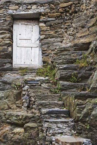 Italy, Vernazza Rock steps lead to an old door Black Ornate Wood Framed Art Print with Double Matting by Flaherty, Dennis