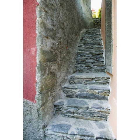 Italy A narrow walkway in Manarola, Cinque Terre Gold Ornate Wood Framed Art Print with Double Matting by Flaherty, Dennis