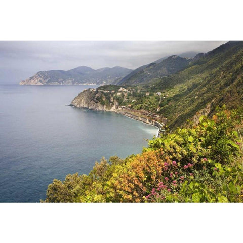 Italy, Cinque Terre Coastal shoreline lookout Black Modern Wood Framed Art Print with Double Matting by Flaherty, Dennis