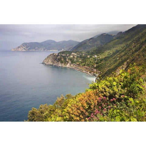 Italy, Cinque Terre Coastal shoreline lookout White Modern Wood Framed Art Print by Flaherty, Dennis