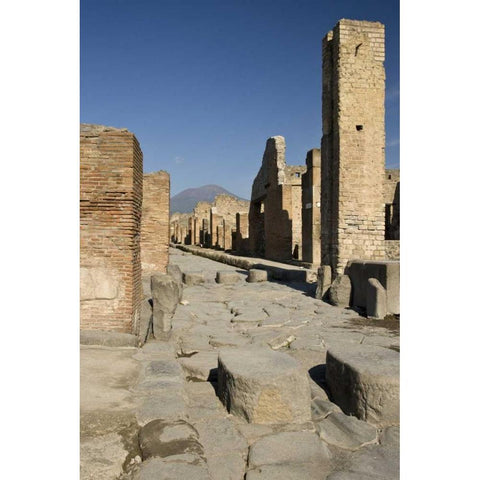 Italy, Campania, Pompeii Streets of city ruins Black Modern Wood Framed Art Print by Kaveney, Wendy