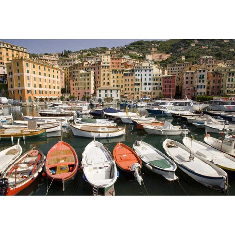 Italy, Camogli Boats moored in harbor Black Modern Wood Framed Art Print by Kaveney, Wendy