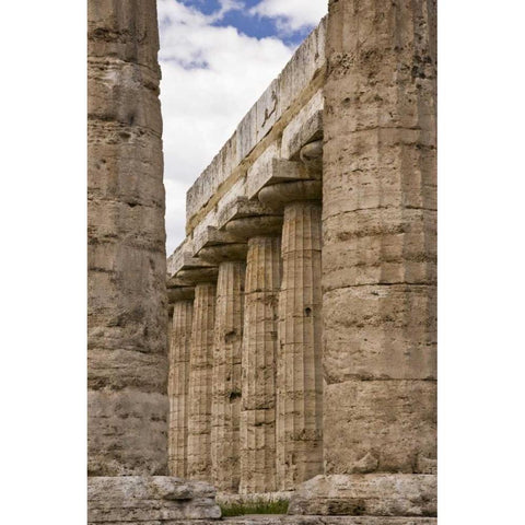 Italy, Campania, Paestum Temple of Hera Black Modern Wood Framed Art Print by Kaveney, Wendy