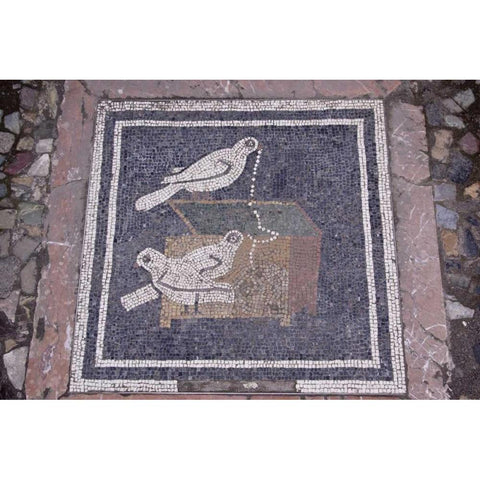 Italy, Pompeii Bird mosaic in House of the Faun Gold Ornate Wood Framed Art Print with Double Matting by Kaveney, Wendy