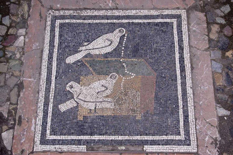 Italy, Pompeii Bird mosaic in House of the Faun White Modern Wood Framed Art Print with Double Matting by Kaveney, Wendy